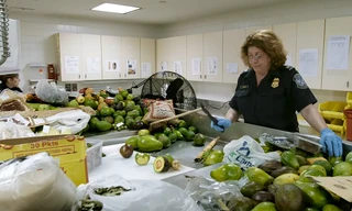 Đồ ăn bị tịch thu tại sân bay đi đâu?