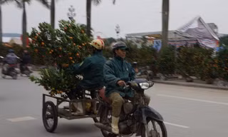 Dịch vụ chở cây cảnh thuê ‘hốt bạc’ ngày cận Tết