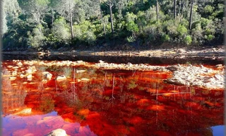 Dòng sông đỏ thu hút khách du lịch ở Tây Ban Nha