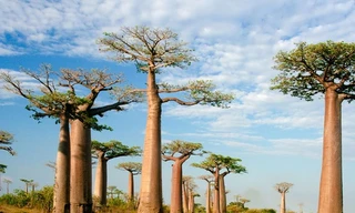 Vẻ đẹp quốc đảo 90 triệu năm tuổi, già nhất hành tinh