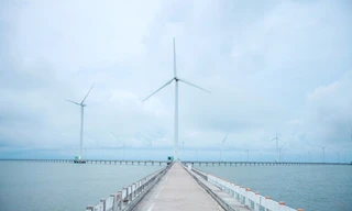 Cận cảnh cánh đồng điện gió lớn nhất Việt Nam