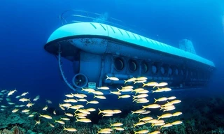 Chi 10.000 USD đi tàu ngầm tham quan đáy biển