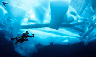 Bí ẩn dưới lớp băng Nam Cực