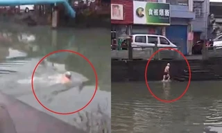 Cụ già bơi qua sông để tránh trạm kiểm tra chống dịch Covid-19