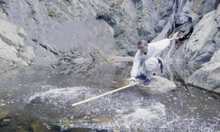 Thiếu Lâm côn pháp - vũ khí hàng đầu các võ tăng dùng khi chiến đấu