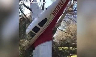 Máy bay mắc kẹt vào thân cây khi đang hạ cánh 