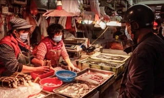 Virus corona không bắt nguồn từ chợ hải sản Vũ Hán