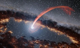 Điều gì xảy ra khi sao đến gần hố đen?