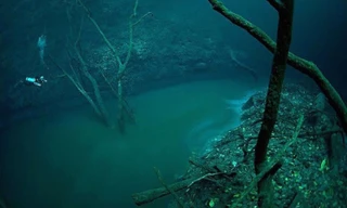 'Dòng sông' ở độ sâu 30 m dưới nước