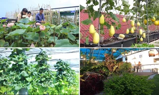 Những khu vườn độc đáo trên sân thượng