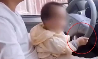 Cha bị phạt vì để em bé cầm vô lăng lái ô tô