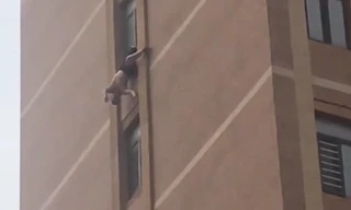 Giải cứu ông cụ treo lơ lửng từ cửa sổ căn hộ tầng 10