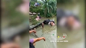 Xe tải chở hàng chục con lợn lao xuống sông ở Hải Dương