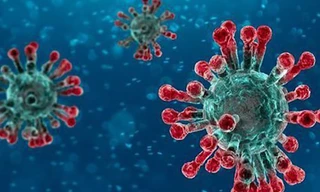 8 ngộ nhận khi phòng tránh nCoV