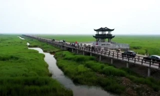 Cầu tre dài nhất thế giới