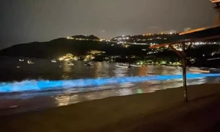 Nước biển Mexico phát ra ánh sáng xanh huyền ảo trong đêm