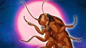 Bị chặt đầu, loài gián vẫn có thể sống?