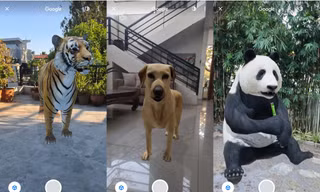Nuôi thú ảo 3D siêu cưng chỉ với một “cú click” trên Google, bạn đã biết cách chưa?