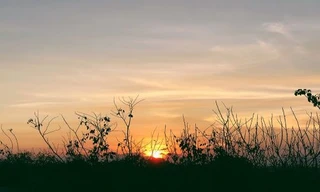 Cuộc thi viết Trà sữa cho tâm hồn: Có một nơi để trở về, nhớ đến và mỉm cười là hạnh phúc