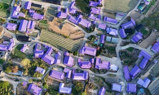 Có gì hấp dẫn ở đảo Banwol - hòn đảo “tím lịm tìm sim” ở phía Nam Hàn Quốc?