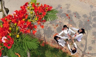 Cuộc thi viết Trà sữa cho tâm hồn: Những tháng năm rực rỡ 