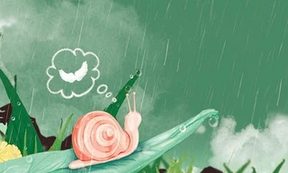 Cuốn sách dành riêng cho trái tim đang thèm khát một không gian thực sự yên tĩnh