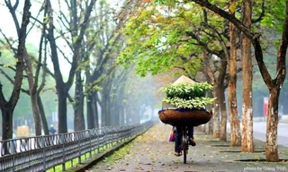 Cuộc thi viết Trà sữa cho tâm hồn: Tháng Tư ngóng chờ mùa hoa bách hợp nở