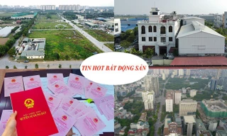 Đấu giá đất khởi điểm 250 triệu/m2 gây 'choáng', đất không giấy tờ sẽ được cấp sổ đỏ thế nào?