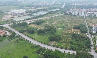 Dự án khu thương mại, dịch vụ Đại Mạch - Telin: Yêu cầu đất nhận chuyển nhượng phải được cấp sổ đỏ