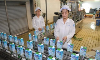 48,3 triệu cổ phiếu VNM bán phiên đấu giá 10/11 đã thu về cho nhà nước 9000 tỷ đồng 