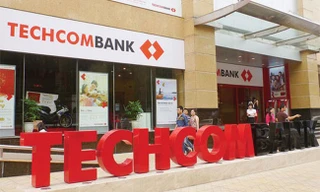 Techcombank báo lãi hơn 8.000 tỷ đồng