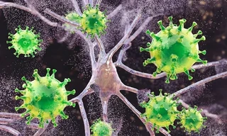 Có thể tiêu diệt được ổ HIV ẩn náu trong cơ thể con người ? 