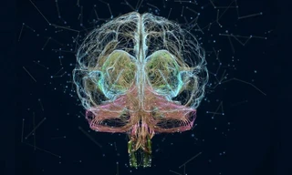 Cảnh báo 'máy tính- não người' của tỷ phú Elon Musk dễ bị tấn công và thao túng bởi bên thứ ba 