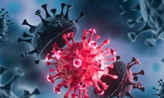 Biến thể phụ JN.1 COVID-19 lây lan nhanh, gây bệnh nặng khiến người mắc có những triệu chứng gì?