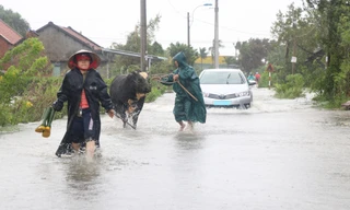 Nước lũ dâng cao, nhiều khu dân cư ở Phú Yên bị chia cắt