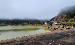 Lo ngại mất rừng, Khánh Hòa 'gạch tên' 4 dự án thủy điện