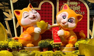 Linh vật mèo nhiều sắc thái ở phố biển Nha Trang