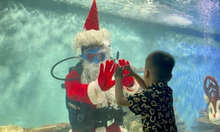 Ông già Noel 'tung tăng' trong bể cá tại Nha Trang