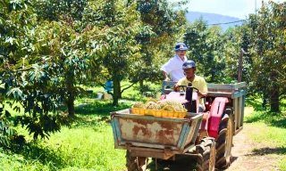 Khánh Hòa thu hút đầu tư vùng đồng bào dân tộc thiểu số
