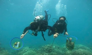 Bảo vệ hệ rạn san hô biển Nha Trang cần thực hiện liên tục, dài hạn