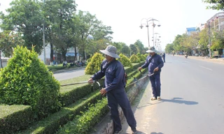 Thêm một tỉnh được yêu cầu cung cấp tài liệu liên quan Cty Cây xanh Công Minh