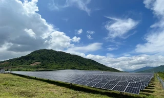 Sẽ thanh tra sai phạm loạt dự án điện mặt trời