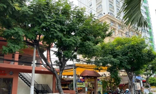 Quân khu 5 nói về việc xử lý liên kết sử dụng 'đất vàng' với doanh nghiệp tại Nha Trang