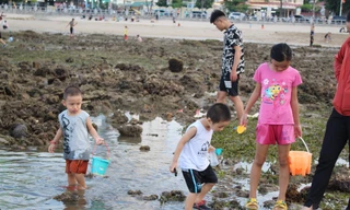 Mò cua, bắt cá ngay giữa lòng phố biển Nha Trang