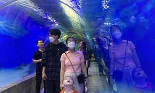 Đường hầm xuyên núi Cảnh Long