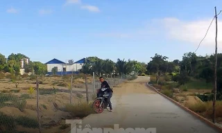 Khởi tố chủ trang trại xây dựng trái phép trên núi Hòn Rồng