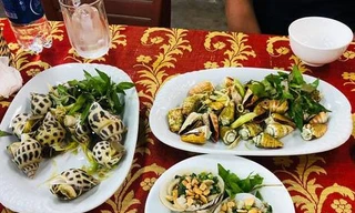 Nha Trang xử phạt nhà hàng bị tố 'chặt chém' bán ốc hương giá 1,8 triệu đồng/kg 