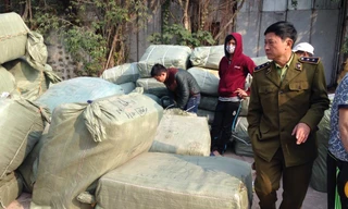 Lực lượng chức năng kiểm tra lô hàng
