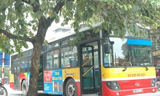 Bị xe buýt đâm, cụ bà 80 tuổi nguy kịch