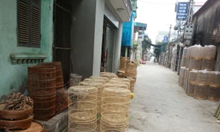 Thất nghiệp, làm lồng chim kiếm 20 triệu đồng/tháng